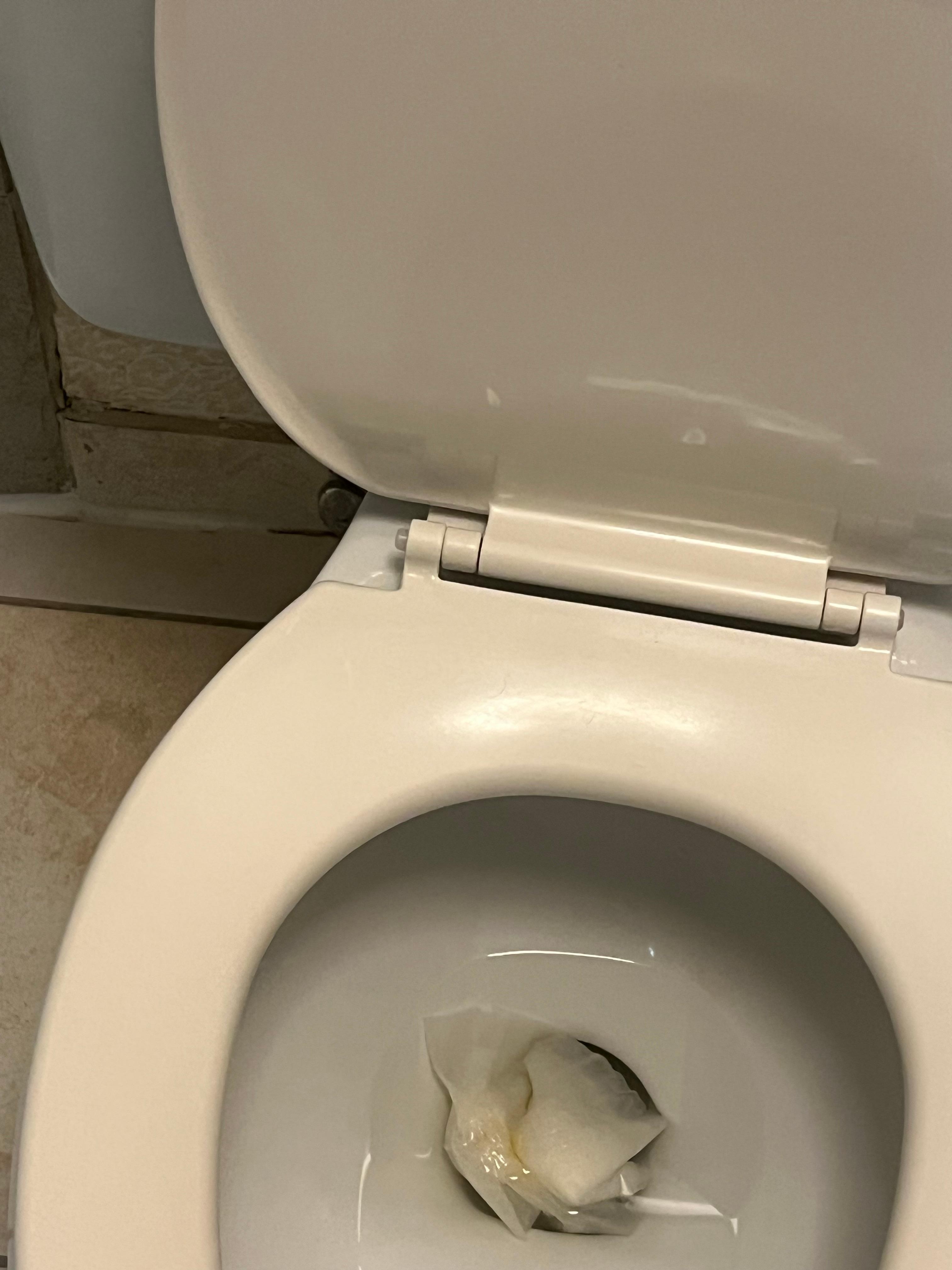 Toilet would not flush