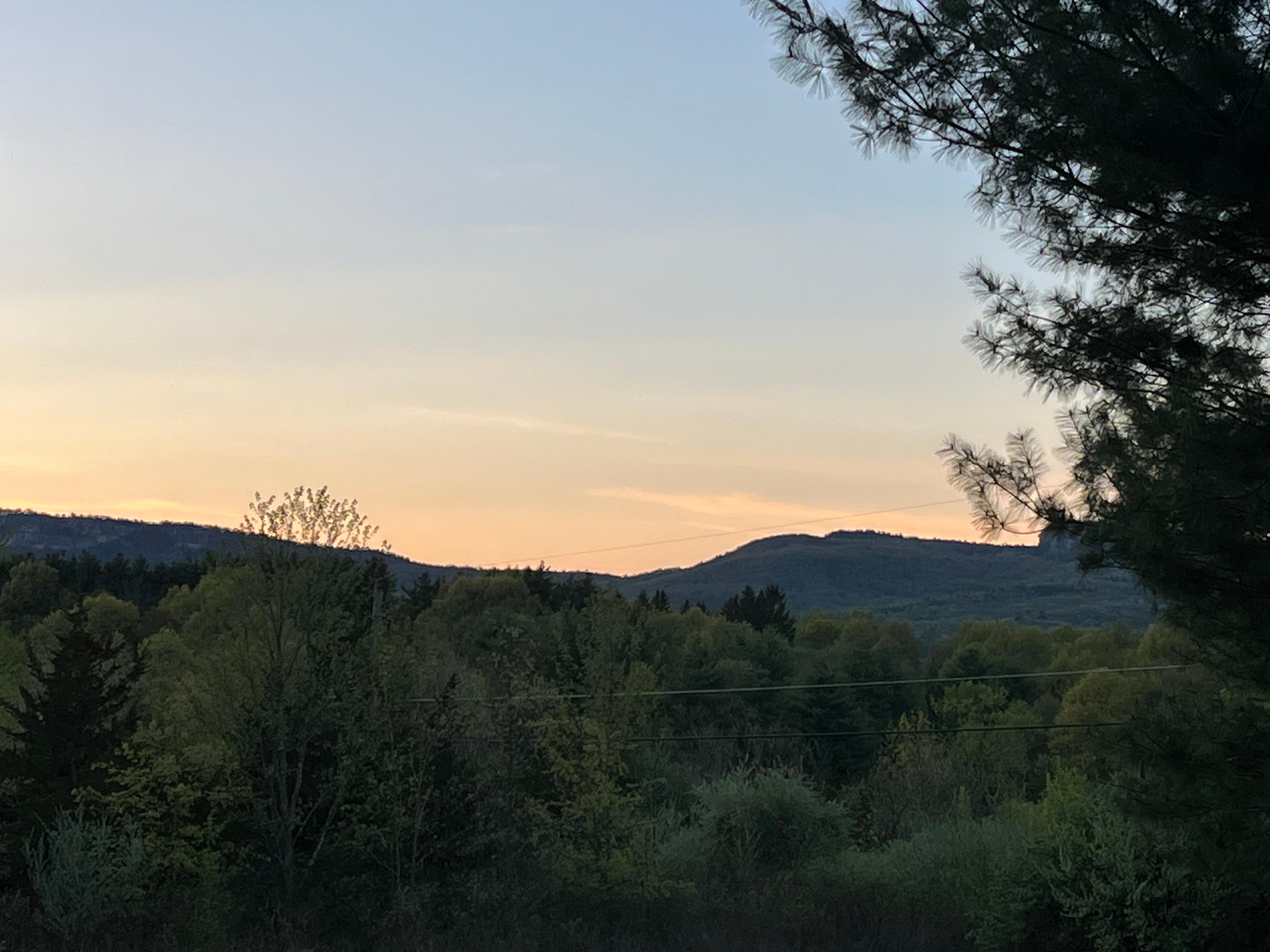 View from the Yard