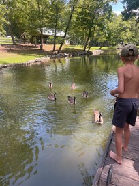 We had the cutest visitors