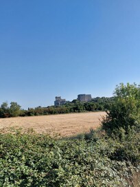 Abbaye de Montmajour
