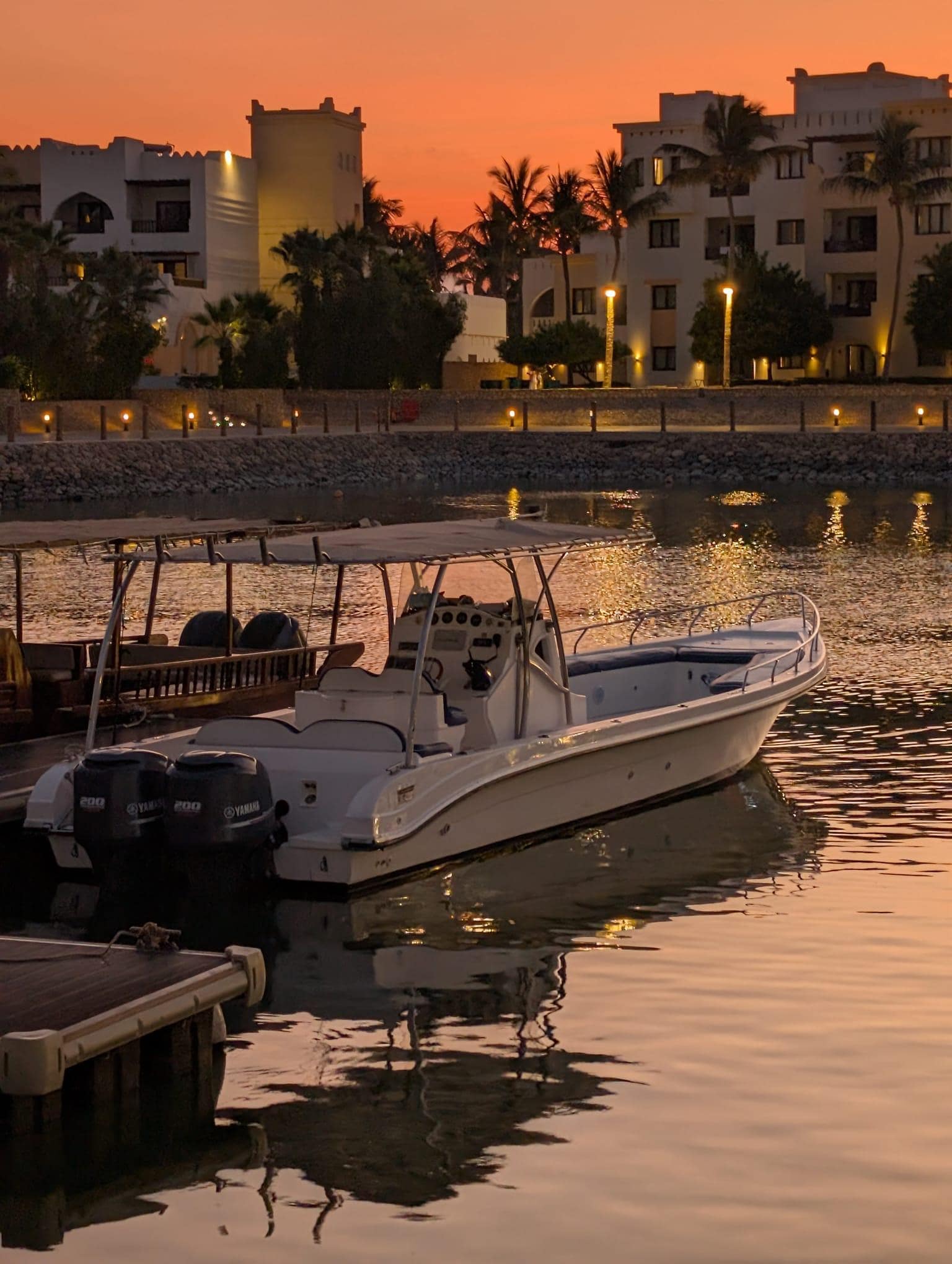 Dolfijnen tour by sunset