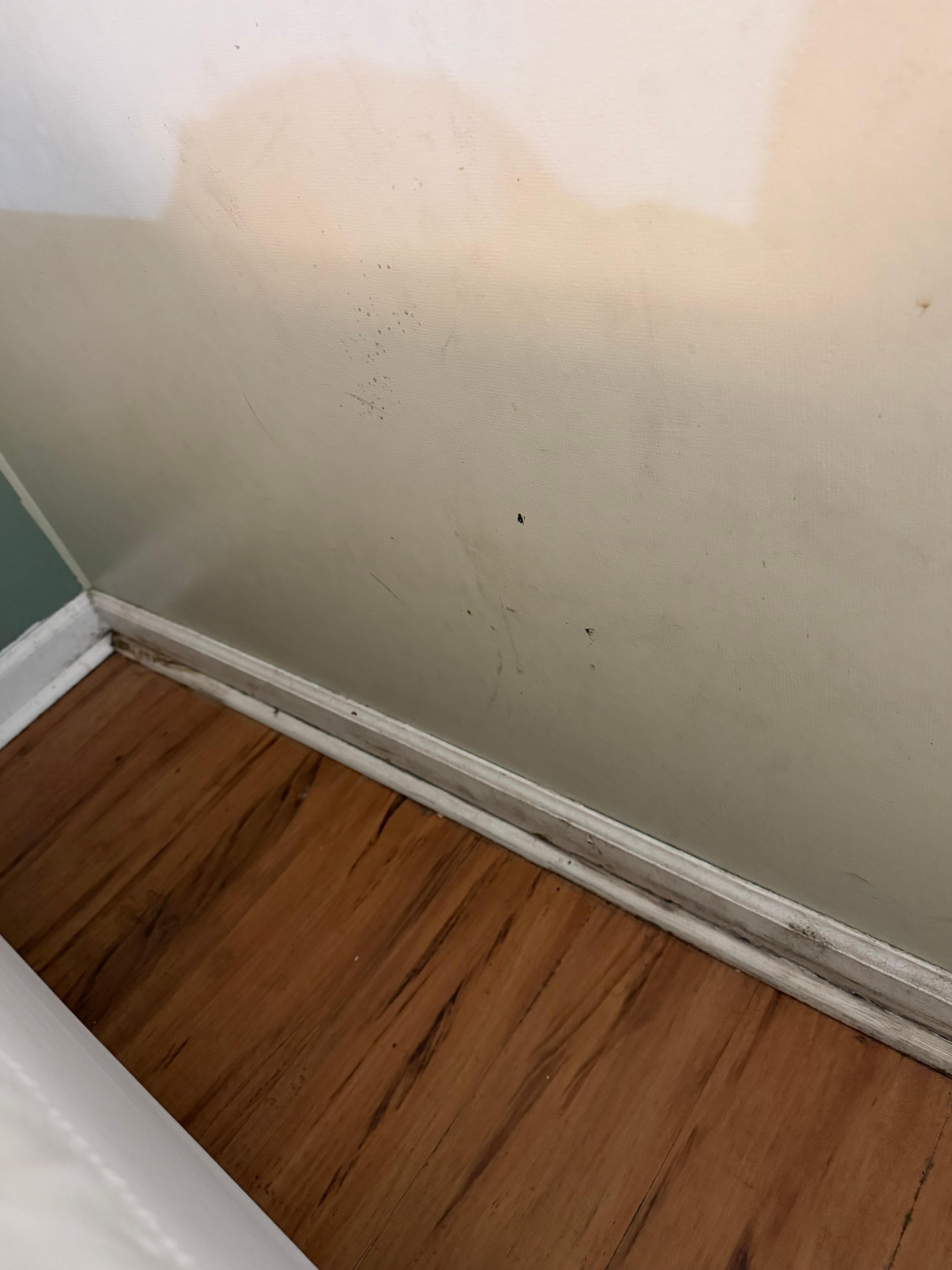 Dirty wall by bed