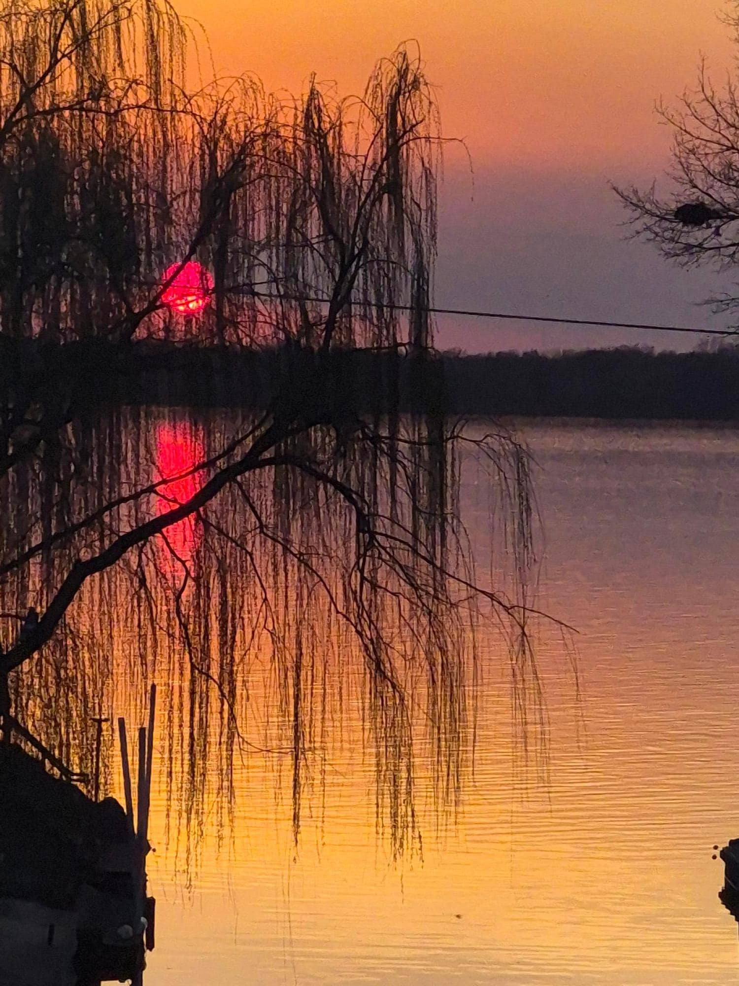 Several sunsets from the docks in back of the tiny house. Absolutely beautiful 