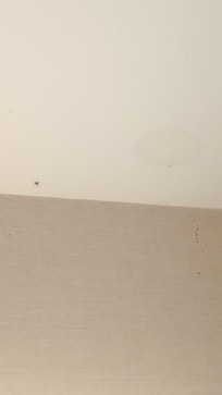 Dead flies stuck to the ceiling above sink.