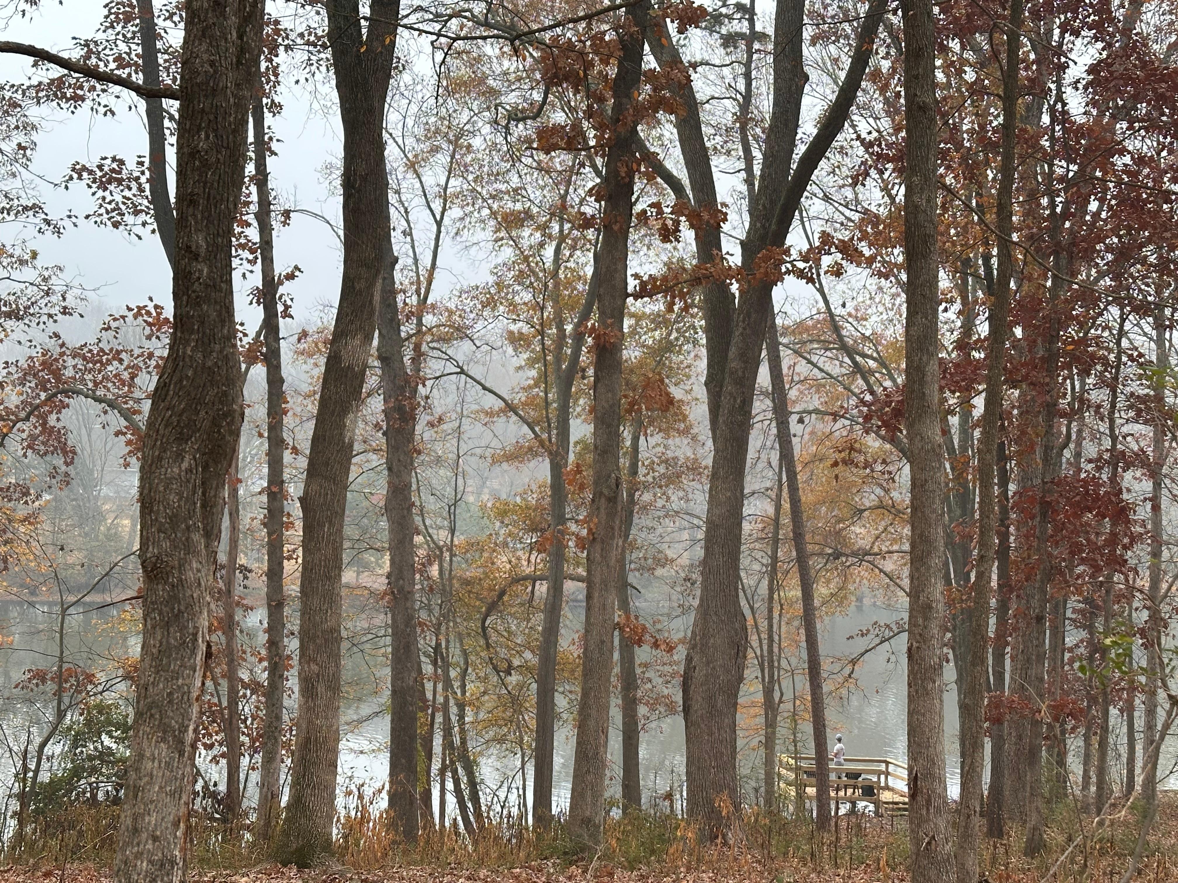 Looking down toward the dock