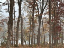 Looking down toward the dock