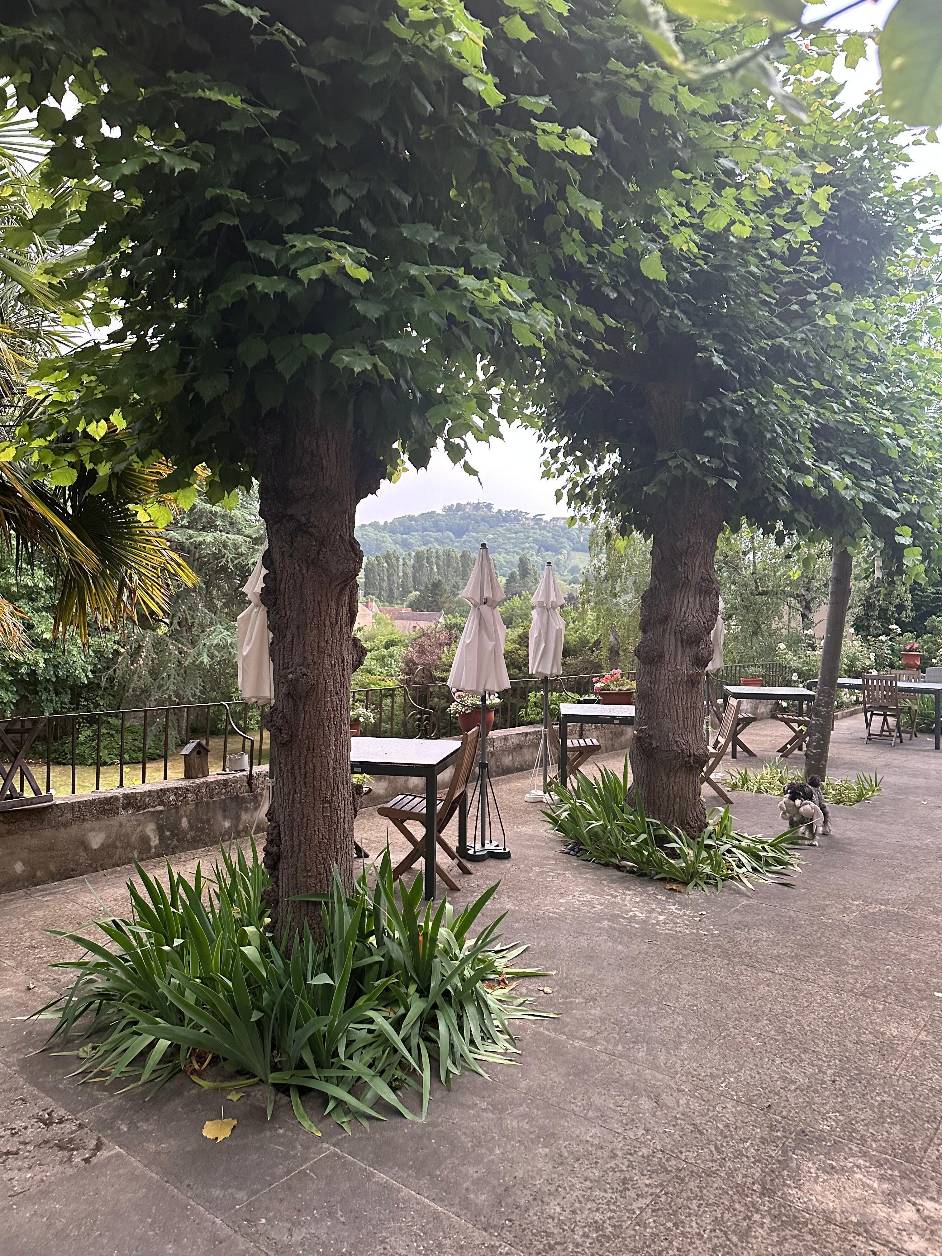   View of Sancerre from terrace 