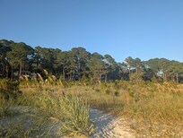 Path to beach