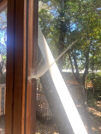 Dirty windows distracts from the beautiful views