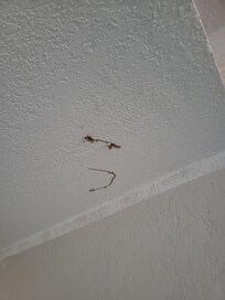 Lose raw wires hanging from the ceiling