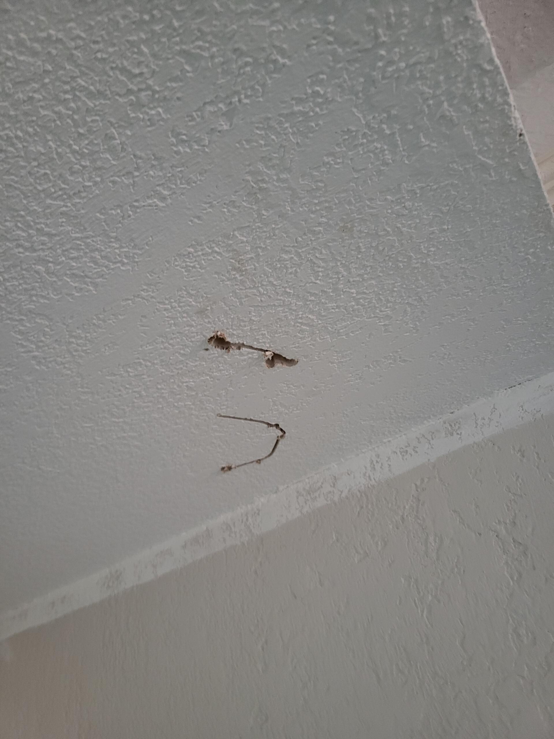 Lose raw wires hanging from the ceiling 