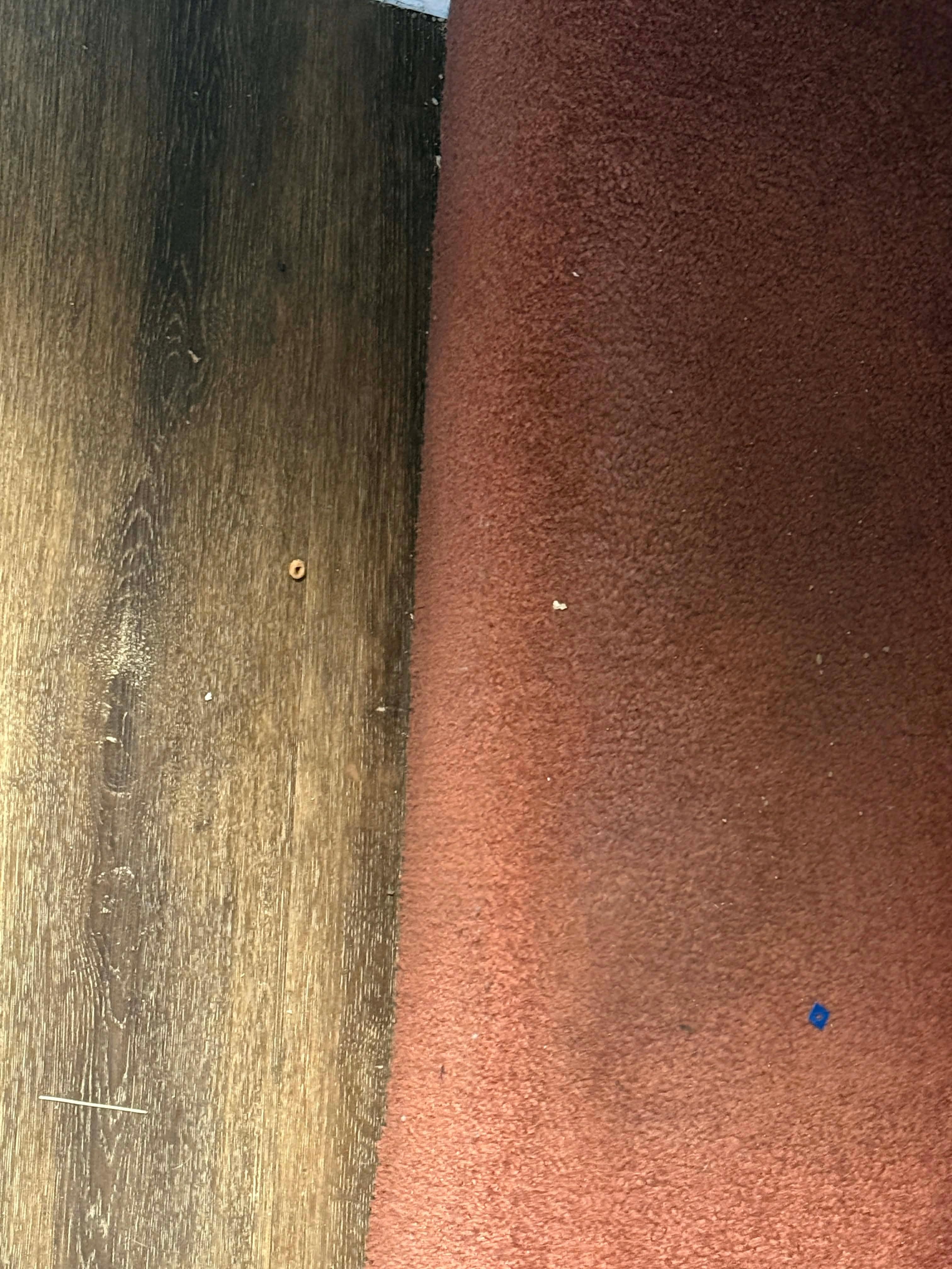 This was our first day there and no, we hadn't consumed nor brought cheerios.