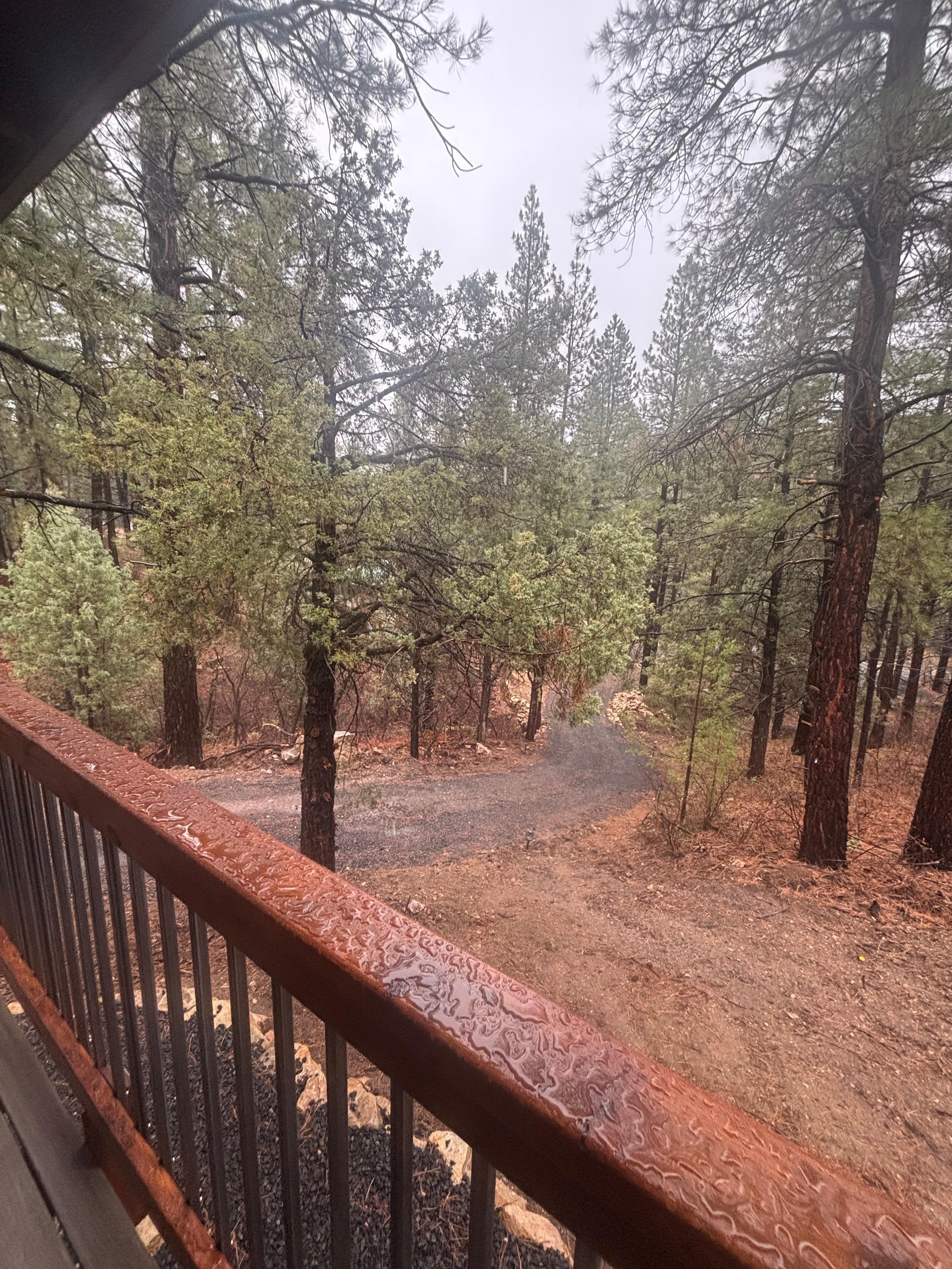 Rainy morning, but relaxed under cover porch with coffee!