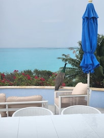 Blue Hues patio with peacock