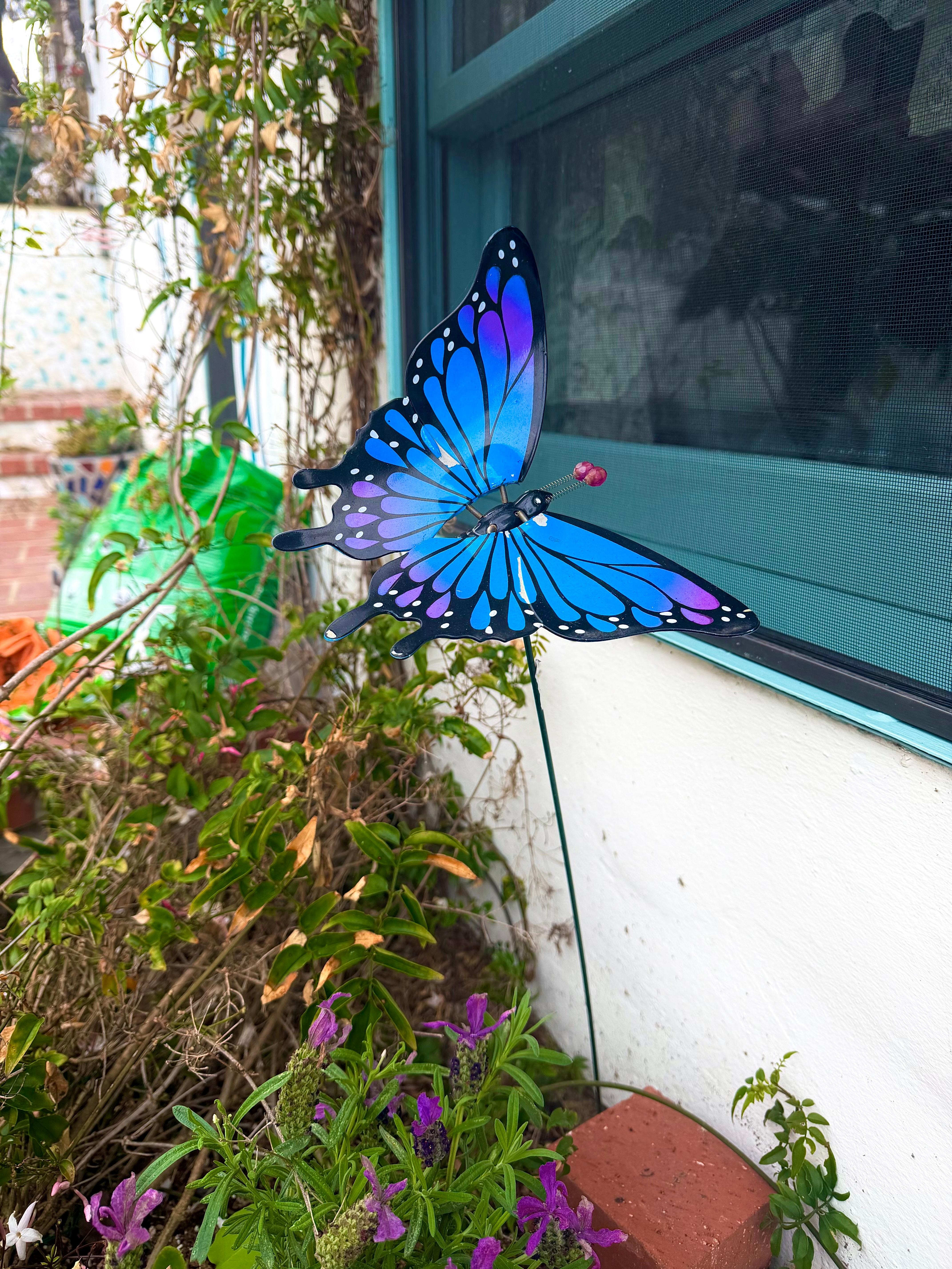 Courtyard Garden Patio at entrance 