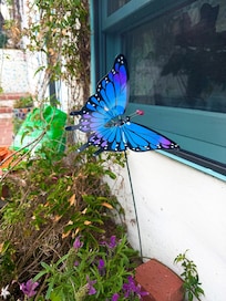Courtyard Garden Patio at entrance