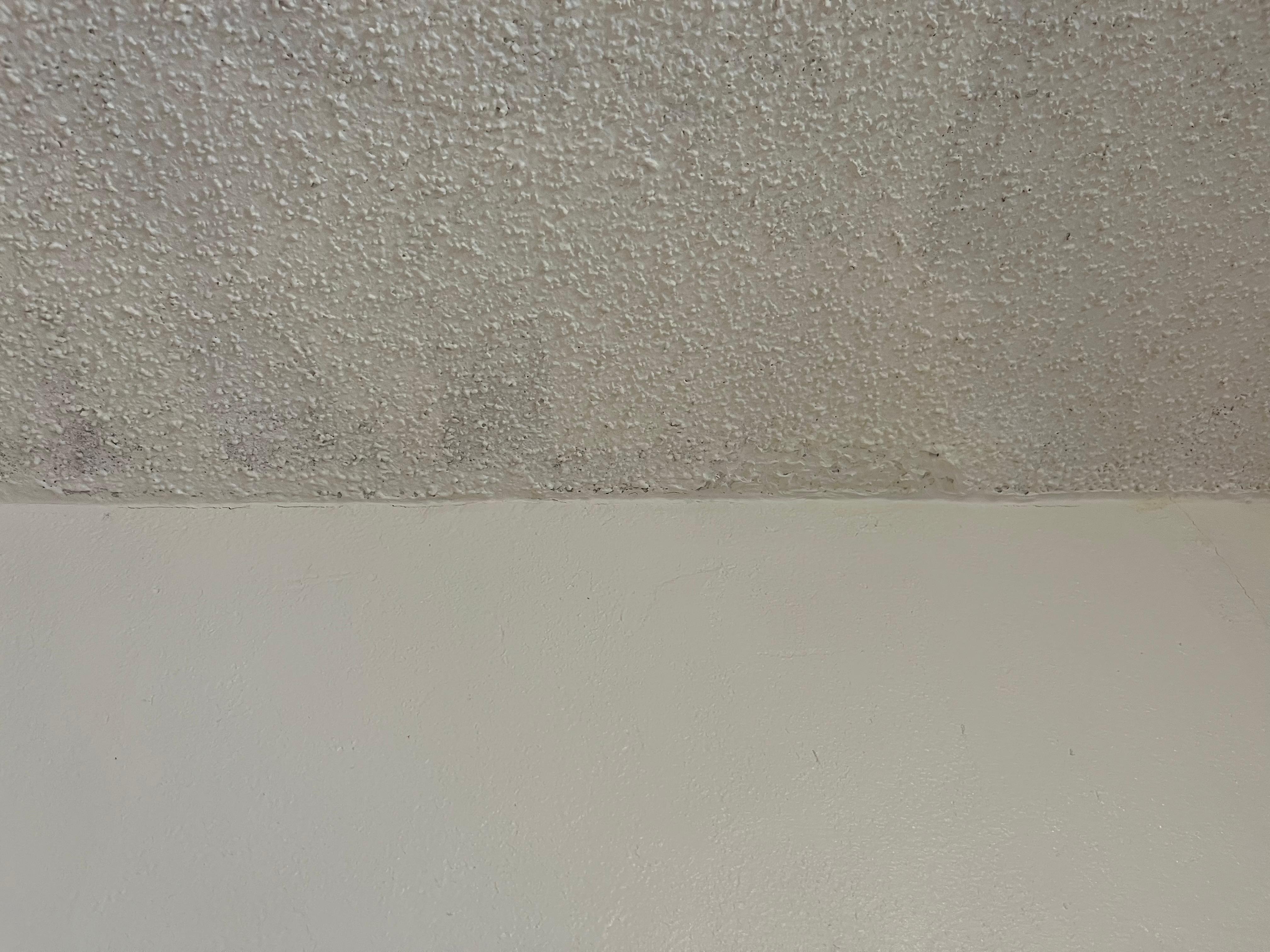 Painted over mold on the ceiling