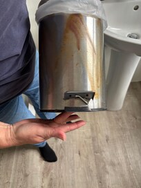 Bathroom bin