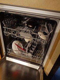 Dishwasher with dirty dishes and stunk