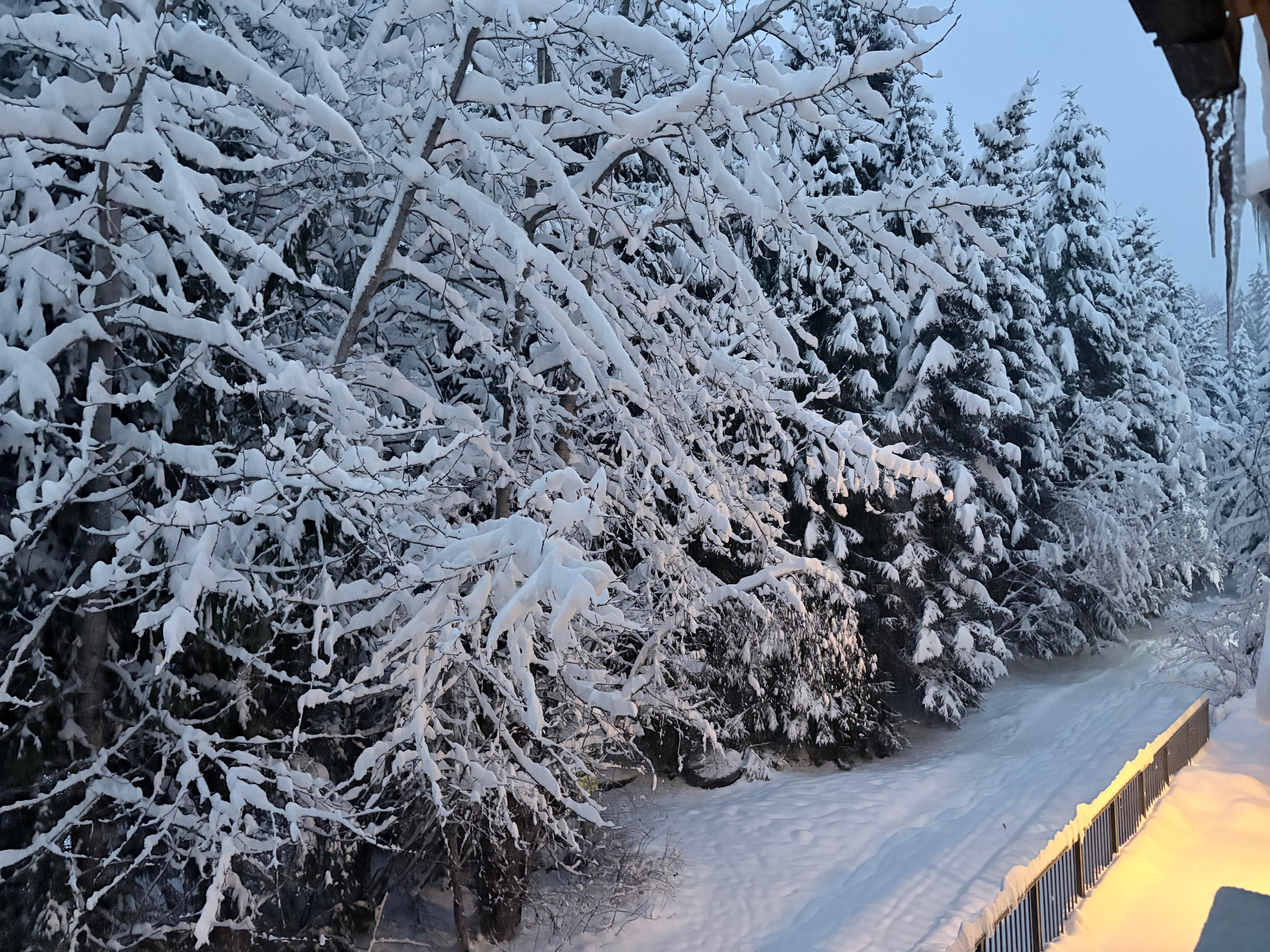 View from the balcony