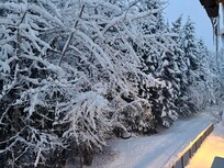View from the balcony
