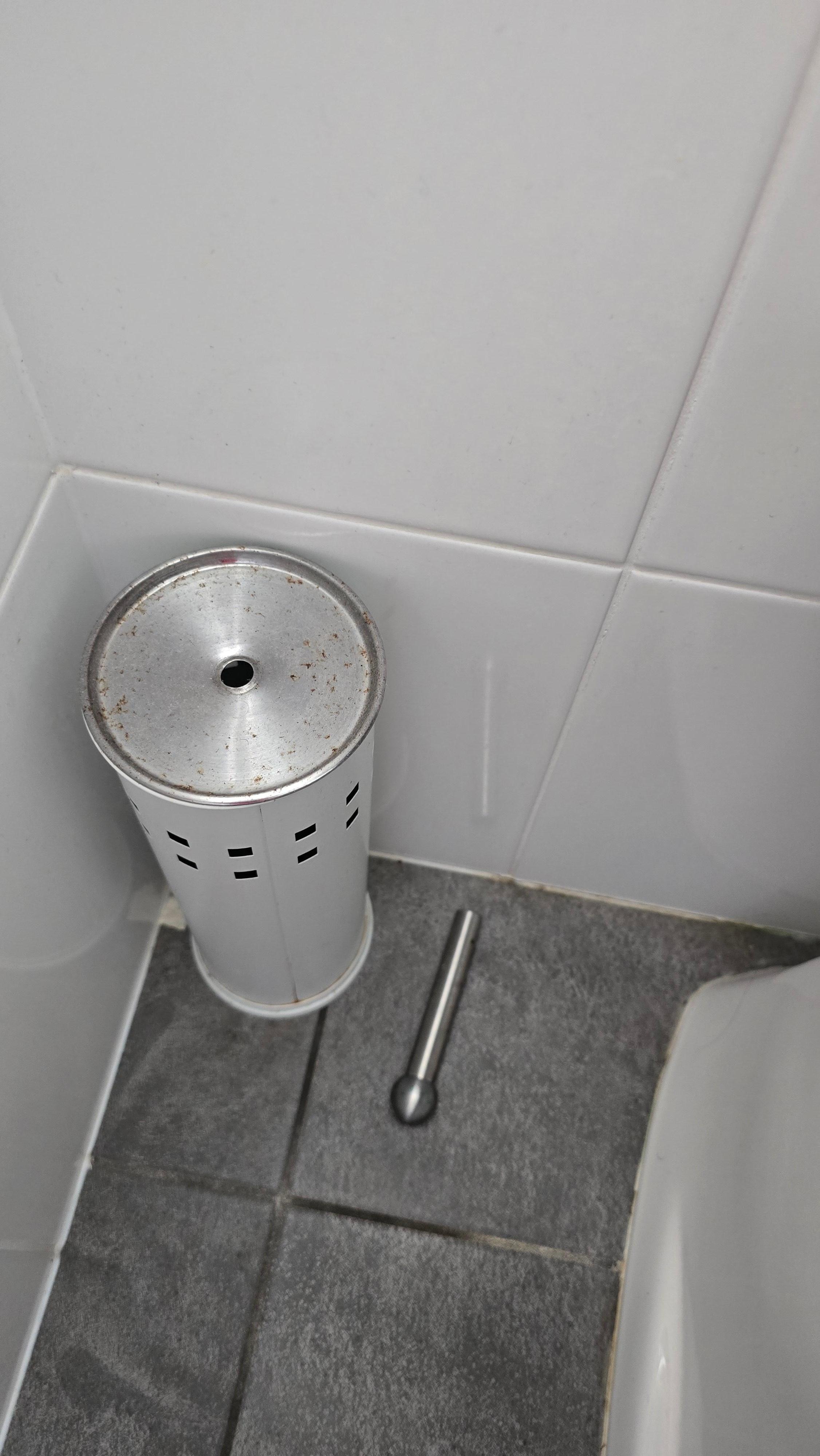 Broken toilet brush