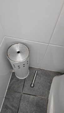 Broken toilet brush