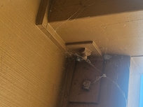 Spider webs on balcony