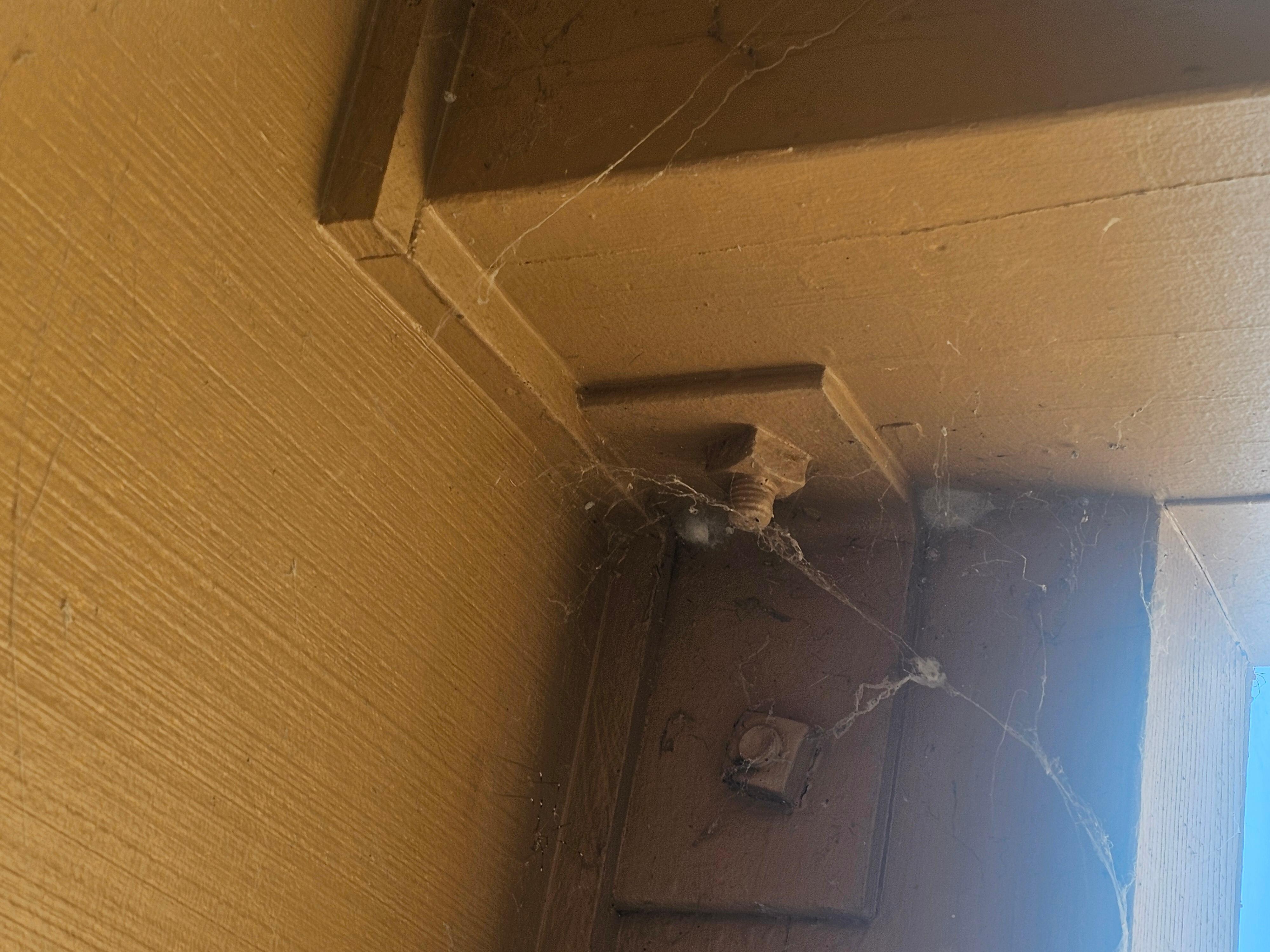 Spider webs on balcony