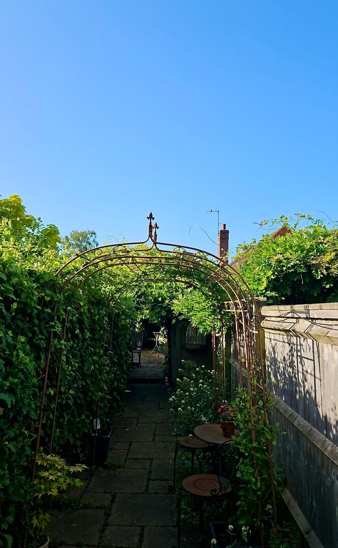 Julia’s garden