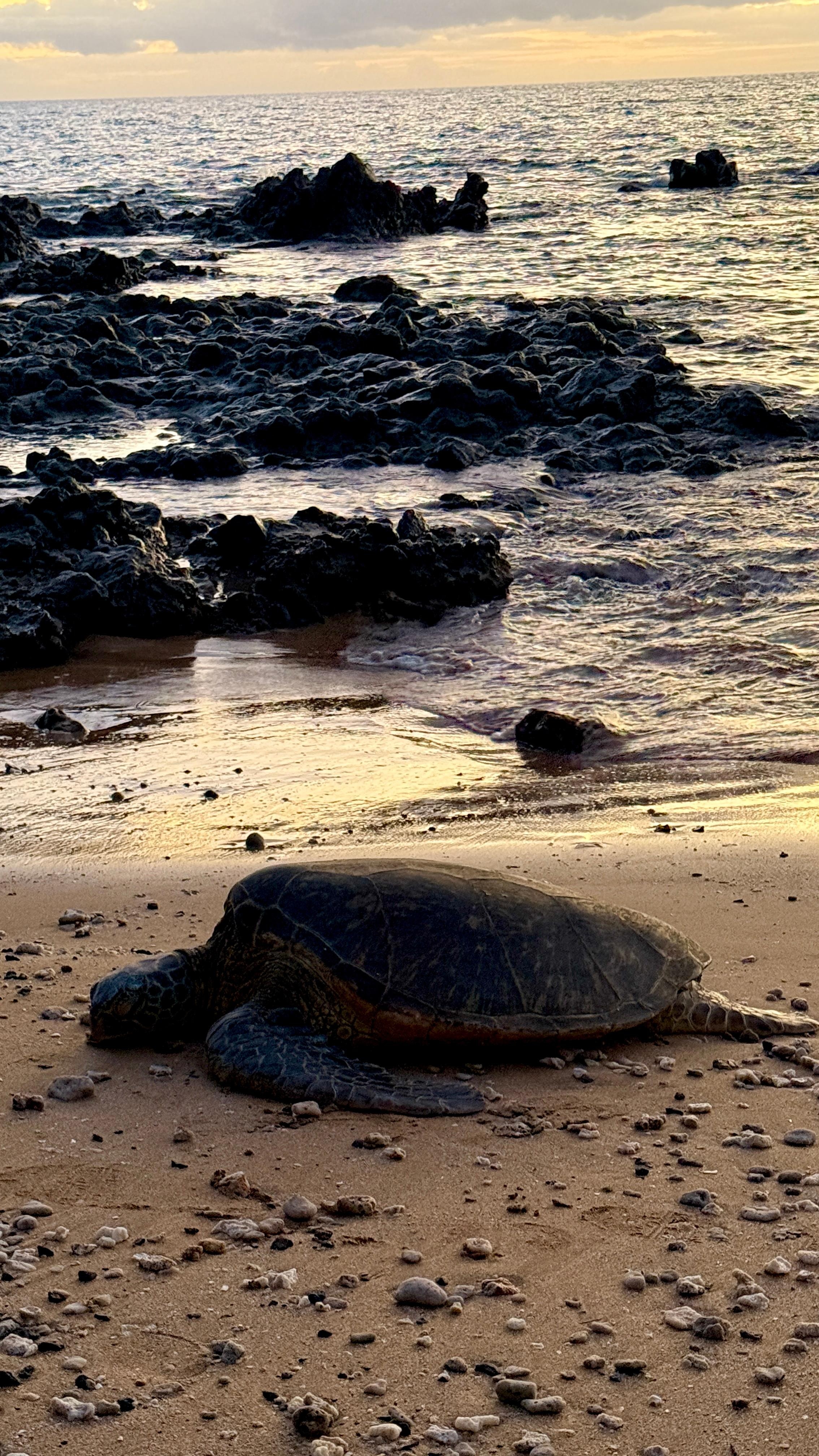 Small beach next to the boat ramp