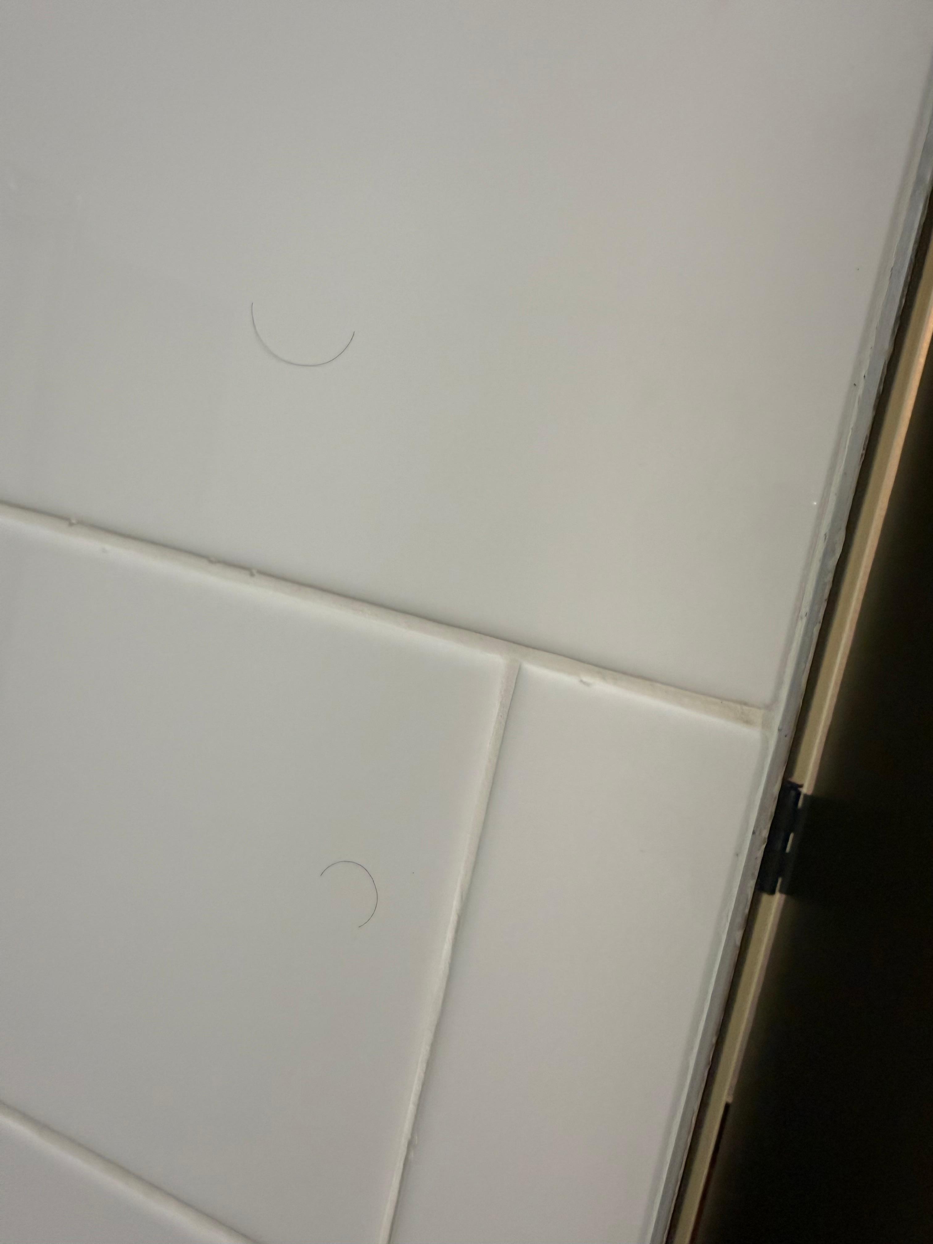 Same hairs in shower 3 days after check-in