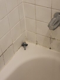 Dirty tub/tiles