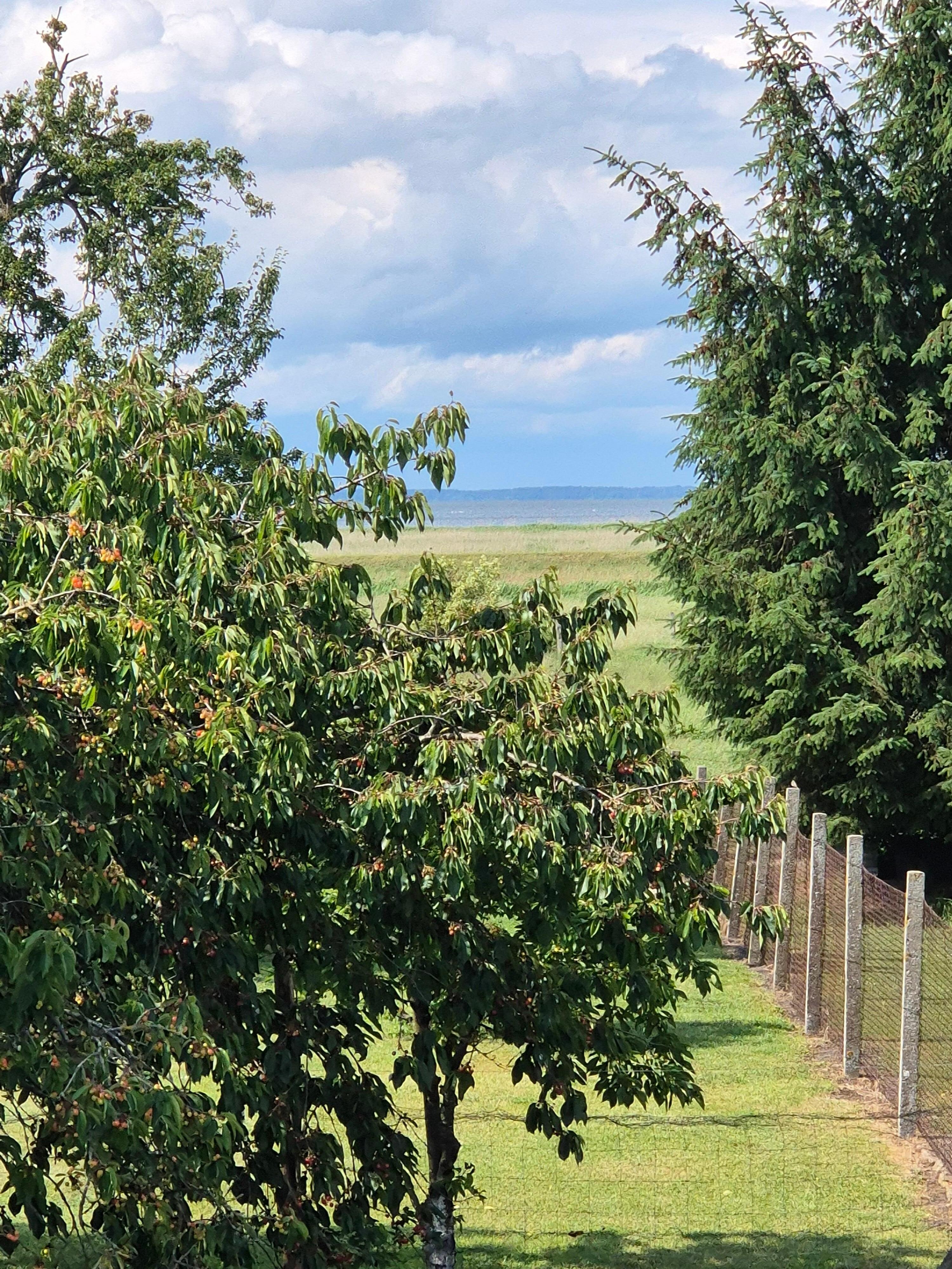 Blick von der Terrasse aufs Haff