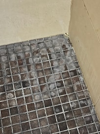 Shower floor