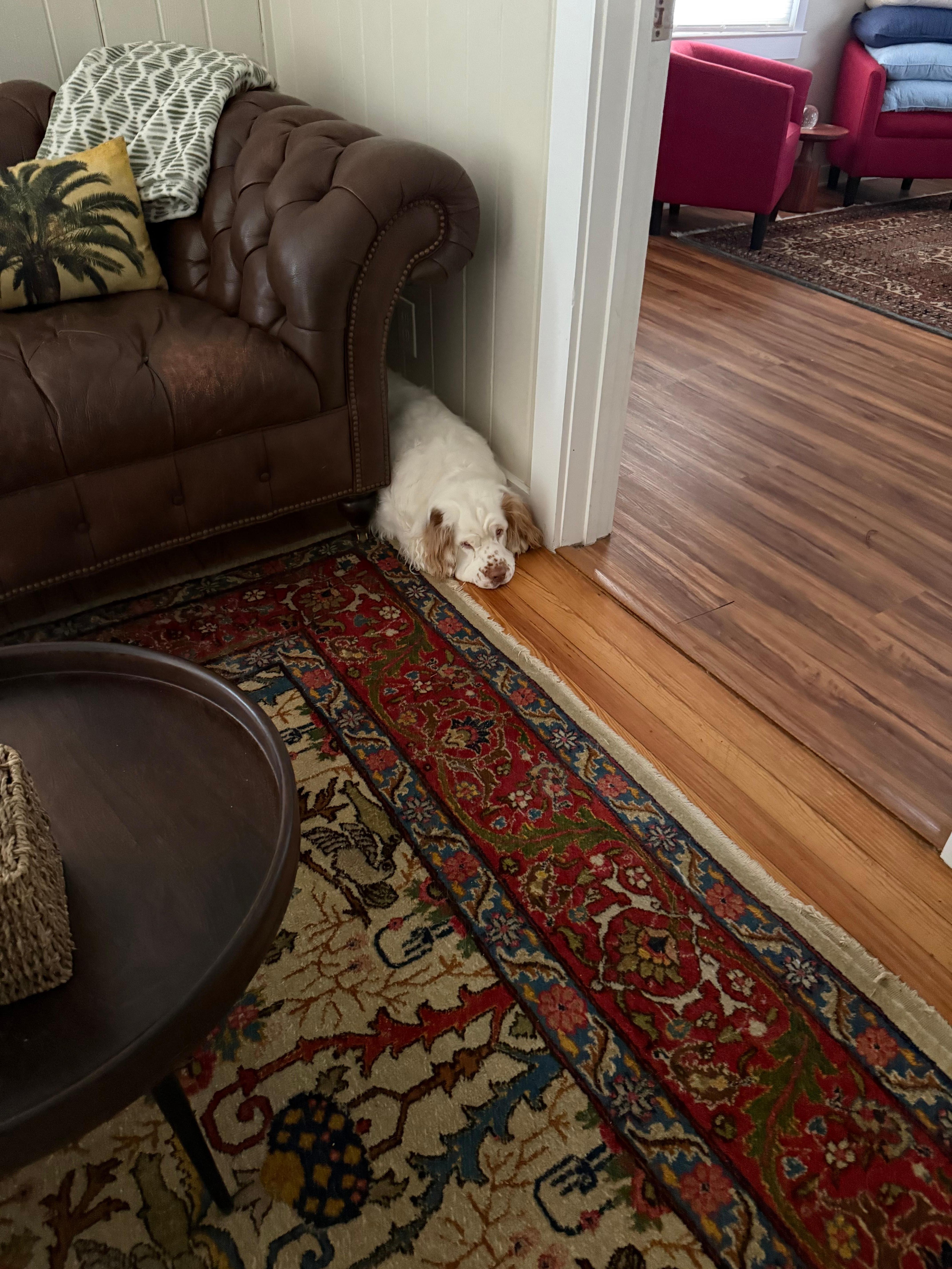 Clem hid here because she did not want to leave