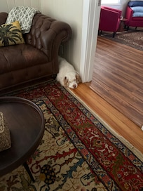 Clem hid here because she did not want to leave