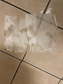 This was wiped up from the bathroom floor