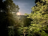 Another beautiful view at night with moon over Mount Le Conte