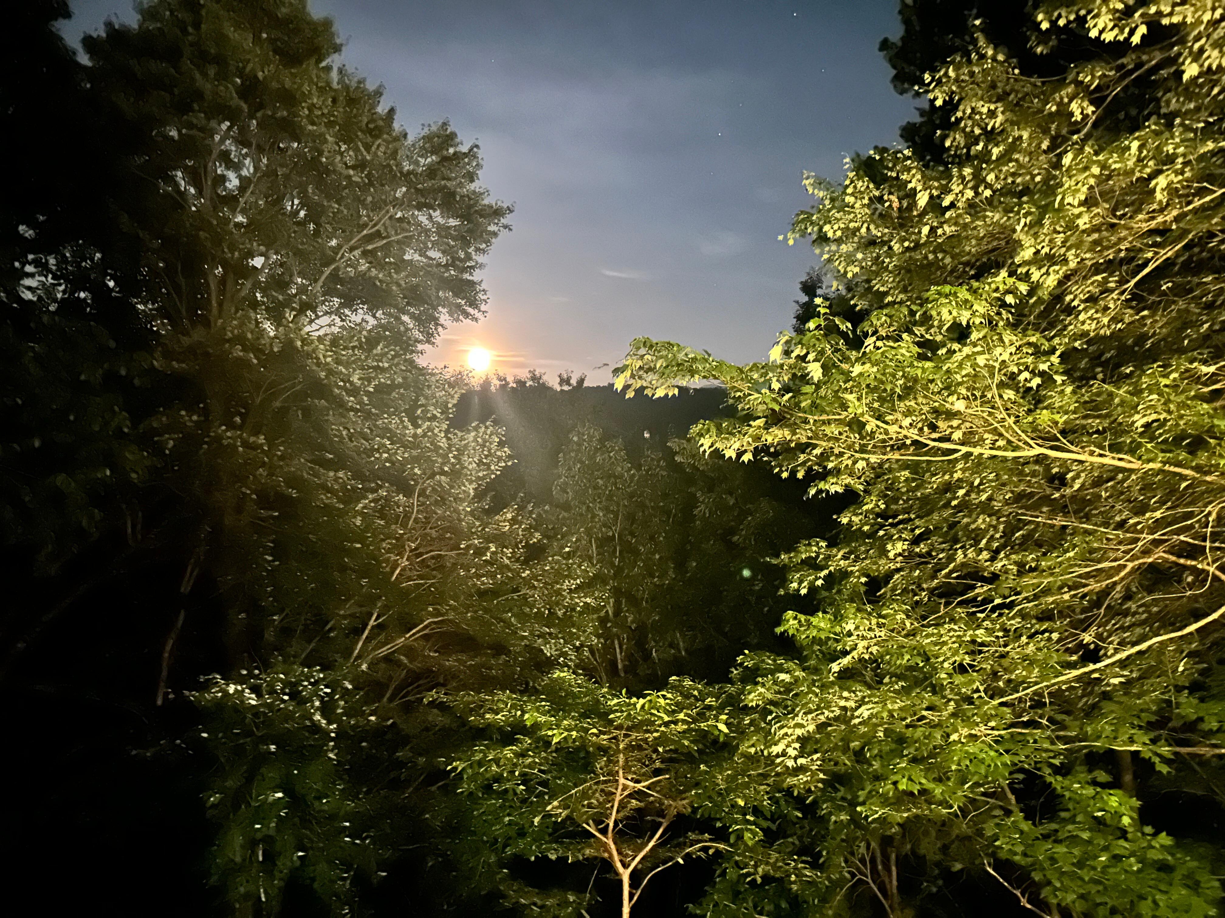 Another beautiful view at night with moon over Mount Le Conte