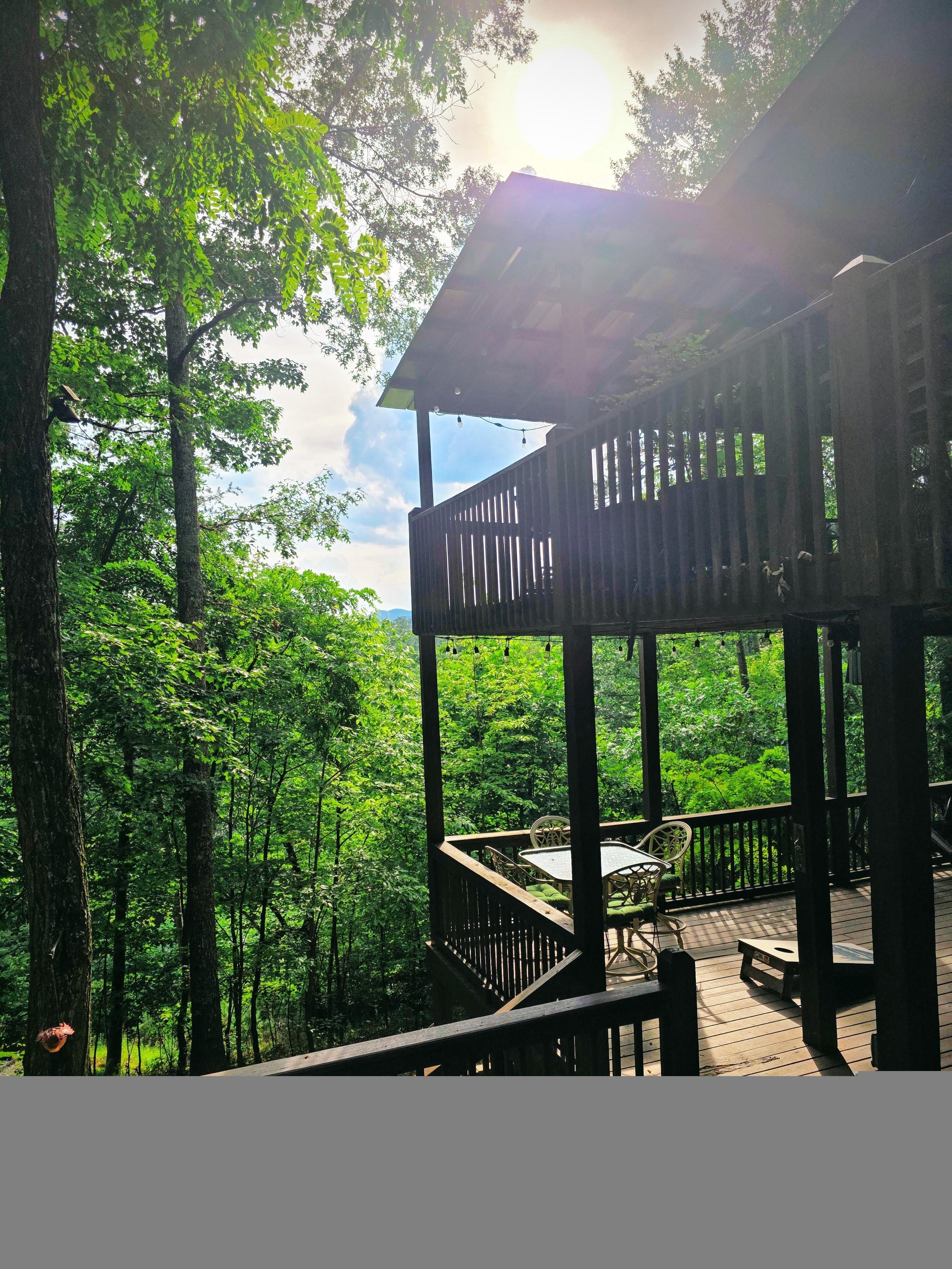 Beautiful forrest views with long range mountain views too.