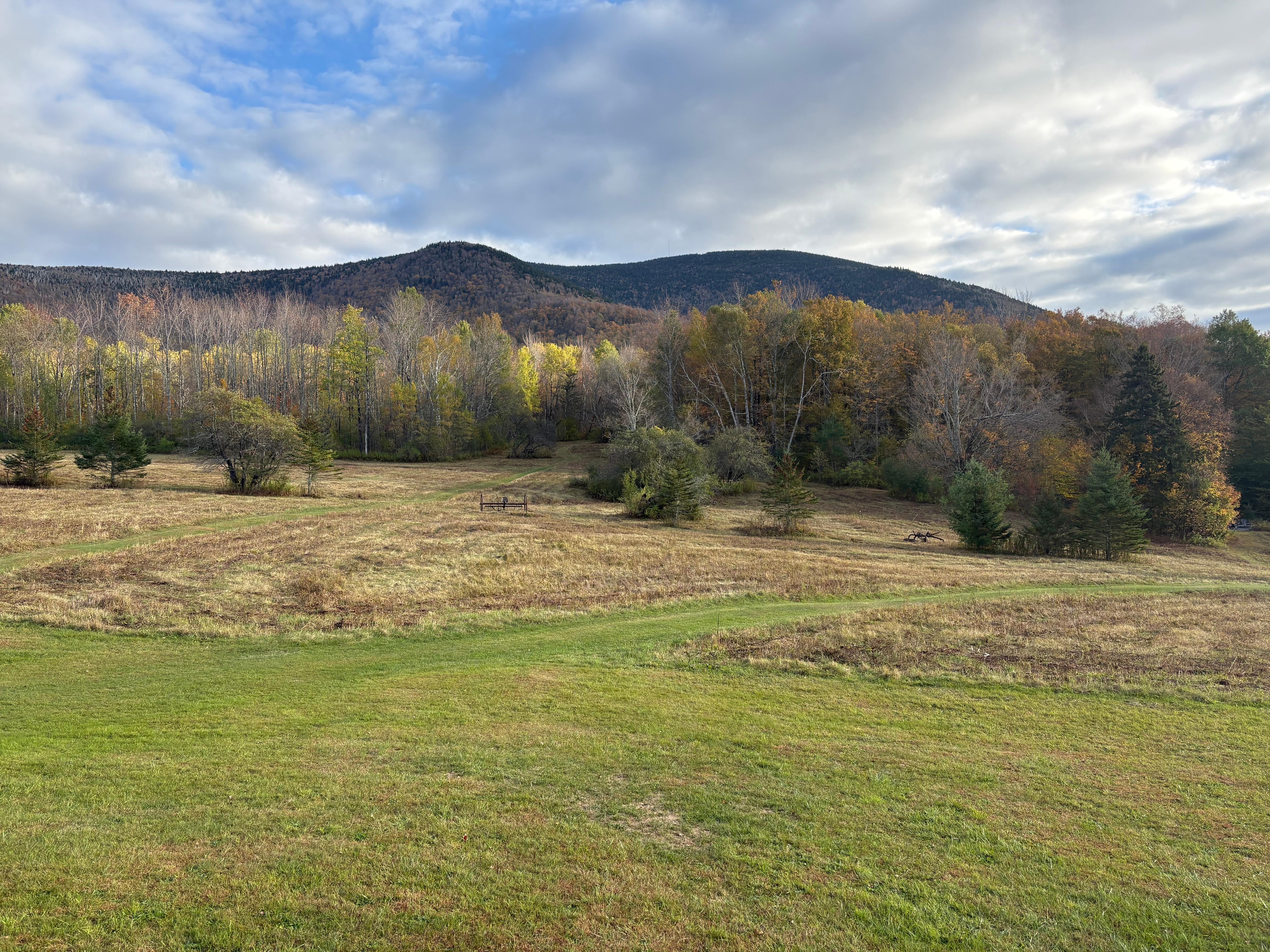 Beautiful view of property 