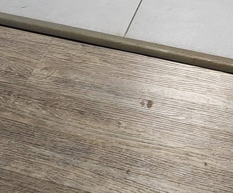 No idea what goop this was stuck to floor...