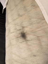 Mold on the pullout bed 😷😷😷😷