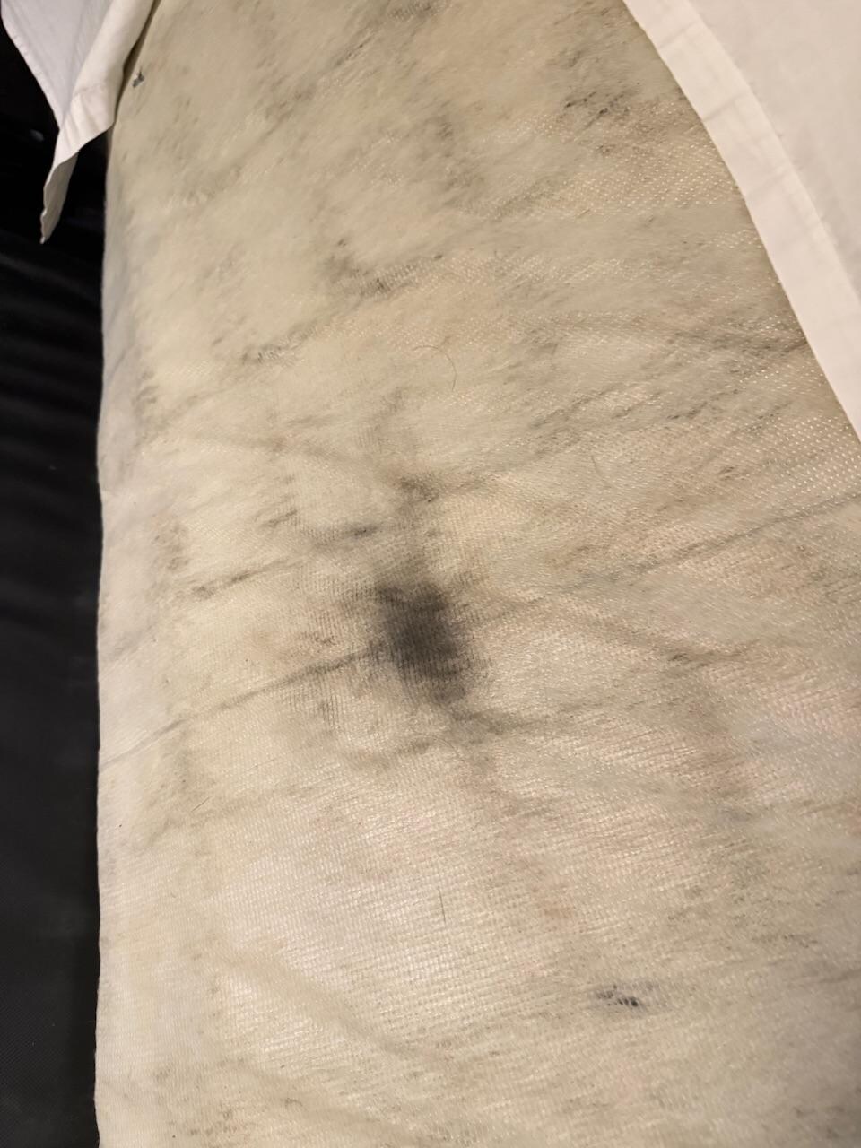 Mold on the pullout bed š·š·š·š·
