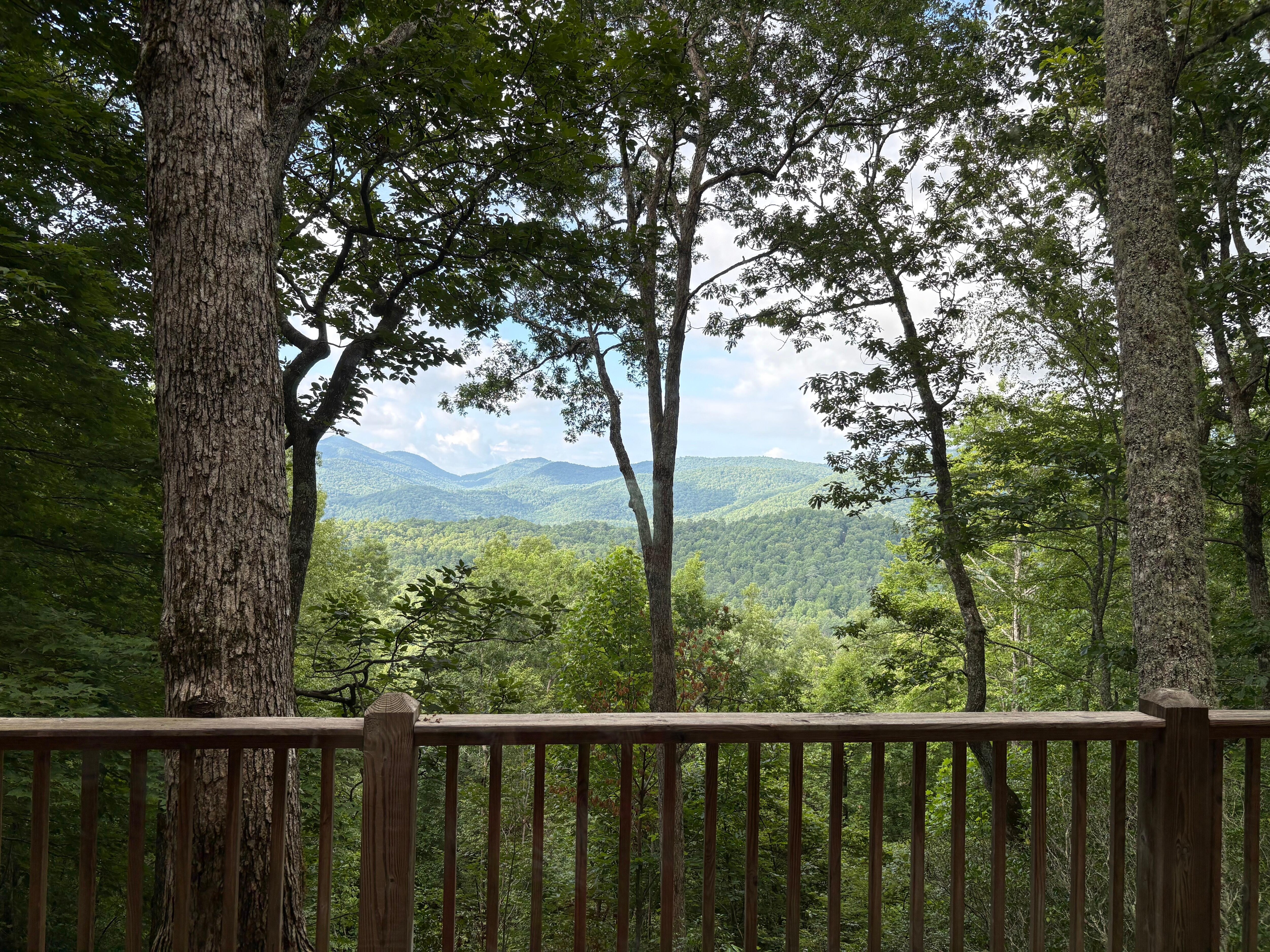 View from the main level deck