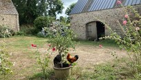 Farmyard complete with chickens