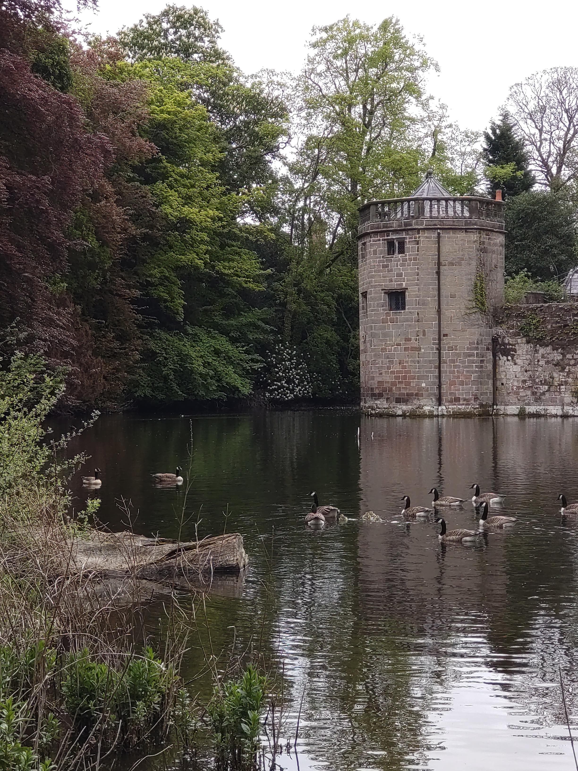 Turret and moat