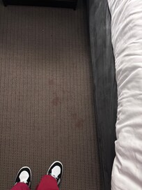 Stains on carpet.