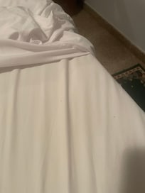 Ants in bed from the moment we came in